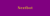 Nextbot Agency Profile Image
