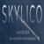 Skylico-logo