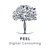 Peel Digital Consulting Agency Profile Image