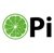 Lime Pi Digital-logo