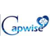 Capwise Digital Media-logo