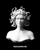 Medusa Japan-logo