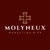 Molyneux Marketing-logo