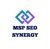 MSP SEO Synergy Agency Profile Image