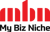 My Biz Niche-logo