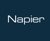 Napier Partnership Limited Agency Profile Image