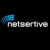 Netsertive-logo