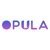 Opula Software Development Pvt. Ltd.-logo
