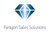 Paragon Sales Solutions-logo