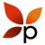Paramaya Web Consulting, LLC Agency Profile Image