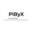 PiByX Consulting-logo