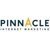 Pinnacle Internet Marketing-logo