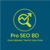 Pro SEO BD-logo