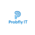 Probfly IT Agency Profile Image