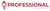 Professional Web Maker-logo