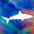 Proshark-logo