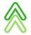 Rank Tree-logo