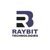 Raybit Technologies Agency Profile Image