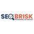 SEO BRISK-logo