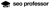 SEO Professor-logo