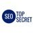 SEO Top Secret Agency Profile Image