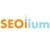 SEOlium Agency Profile Image
