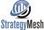 Strategy Mesh-logo