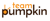 Team Pumpkin-logo