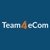 Team4eCom-logo