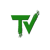 TechVizmo-logo