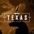 Texas Web Design-logo