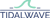 TidalWave Marketing LLC-logo
