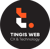 Tingis Web a customer experience (CX) agency: software development and digital marketing-logo