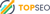 Topseosydney-logo