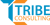 Tribe Consulting Pvt. Ltd.-logo