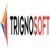 Trignosoft Solutions Pvt Ltd Agency Profile Image