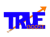 True Boost Digital-logo
