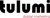 Tulumi Digital Marketing-logo