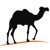 WadiDigital Ltd.-logo