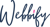 Webbify Infotech Pvt Ltd-logo