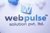 Webpulse Solution (P) Limited-logo