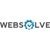 Websolve Marketing-logo