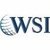 WSI - MaxNet Solutions Inc.-logo