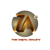 Zaisha Technologies-logo