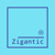 Zigantic Agency Profile Image