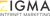 Zigma Internet Marketing-logo