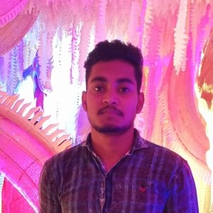 Aakasesh Agarwal