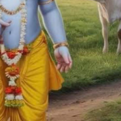 Aakash Pentyala