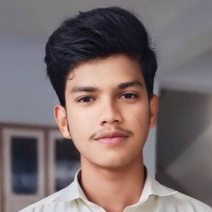 Aamir Hameed Alvi