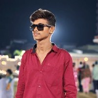 Aarav DhamaneProfile Image